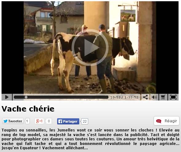 vache cherie